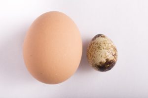 卵とうずらの卵
